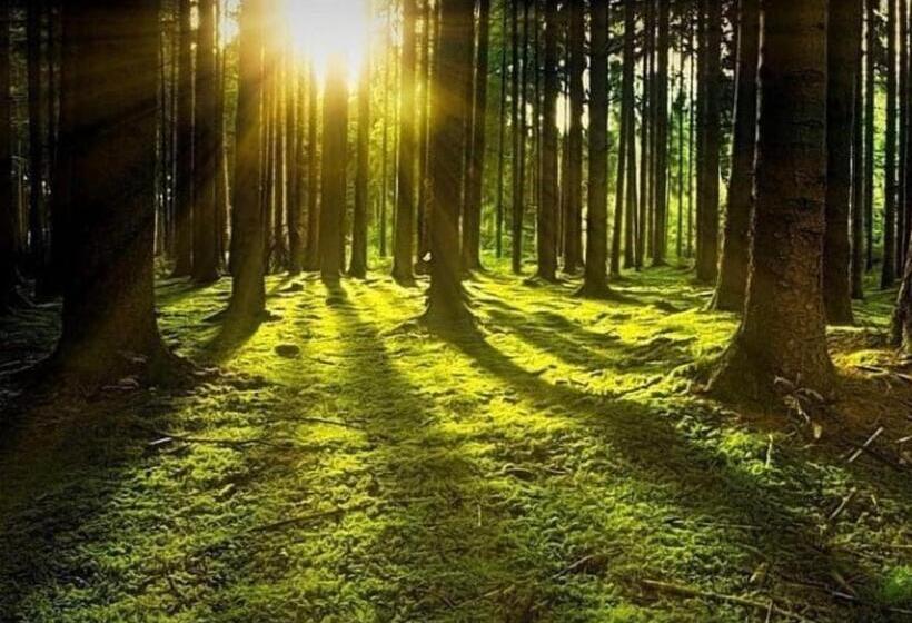 فندق Guesthouse Chambarak