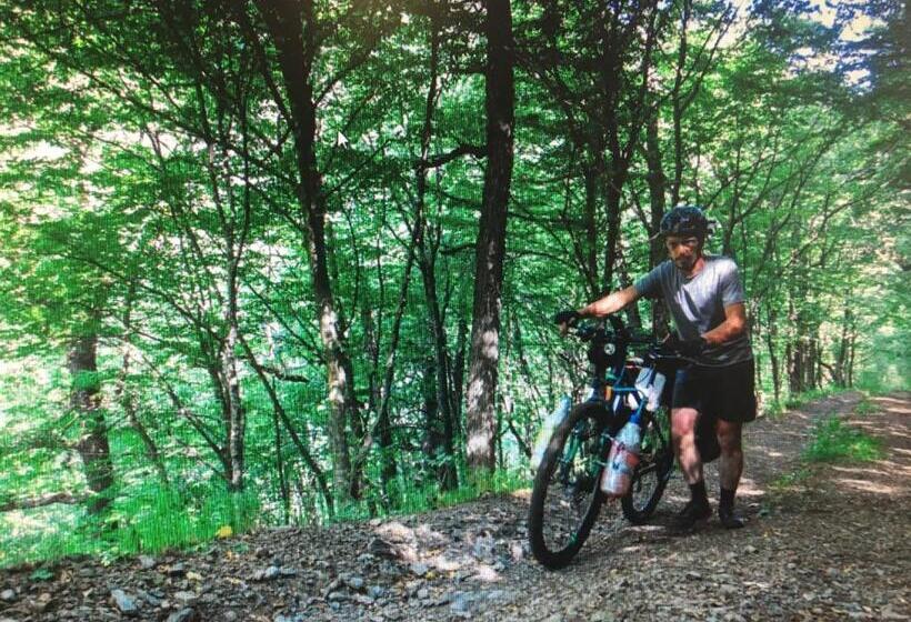 فندق Guesthouse Chambarak