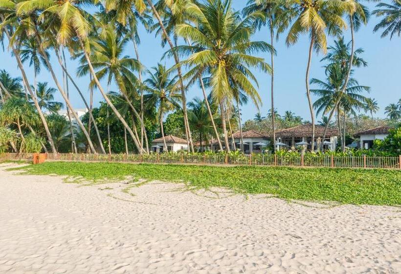 בית מלון כפרי Habaraduwa House