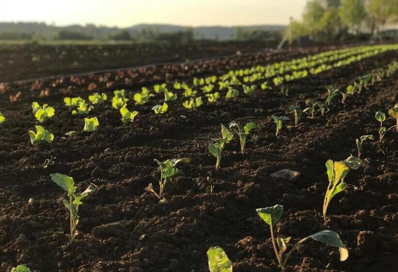 호텔 Meier Hilzhof