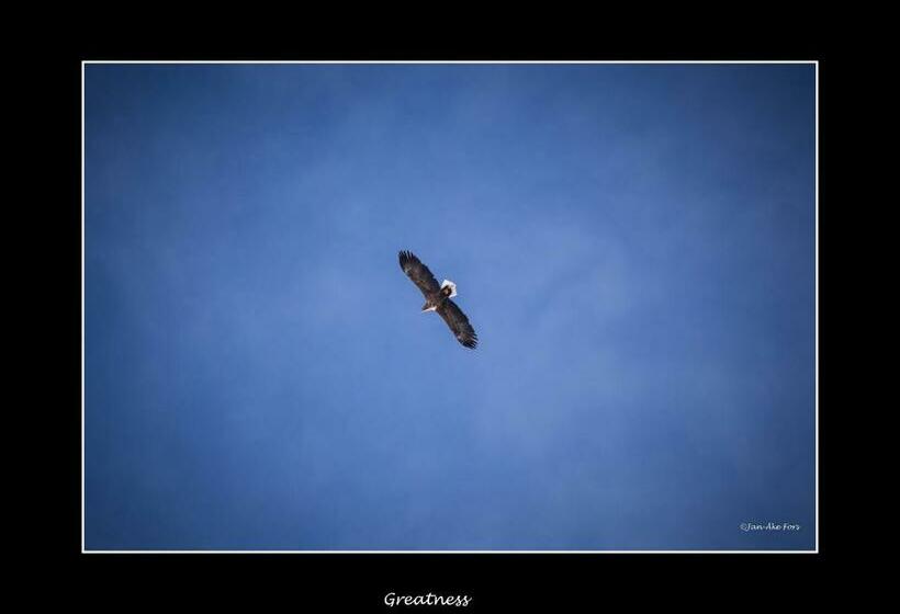 בית מלון כפרי Lannavaara Lodge