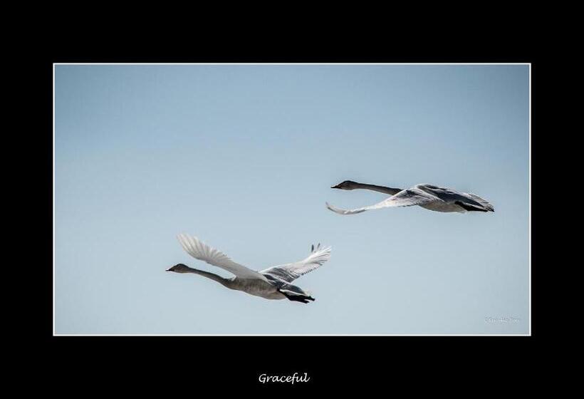 בית מלון כפרי Lannavaara Lodge