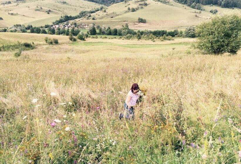 ホテル Pensiune Agroturistica Hanna