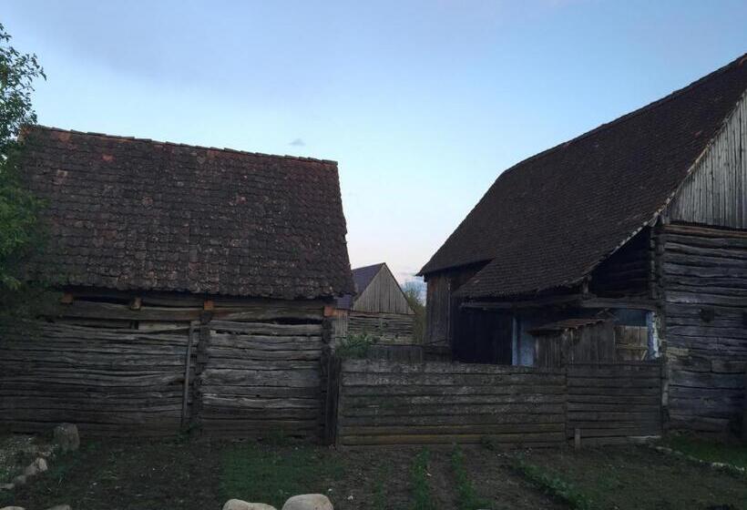 ホテル Pensiune Agroturistica Hanna