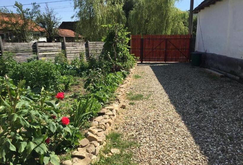 ホテル Pensiune Agroturistica Hanna