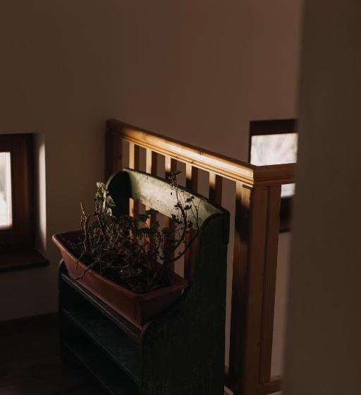 ホテル Pensiune Agroturistica Hanna