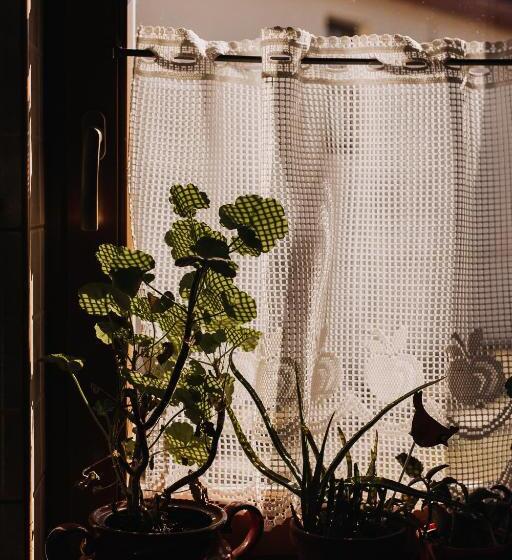 ホテル Pensiune Agroturistica Hanna