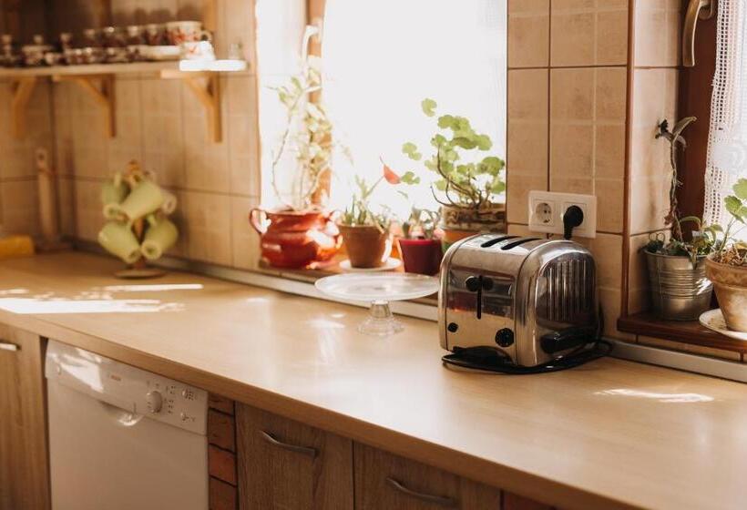 ホテル Pensiune Agroturistica Hanna