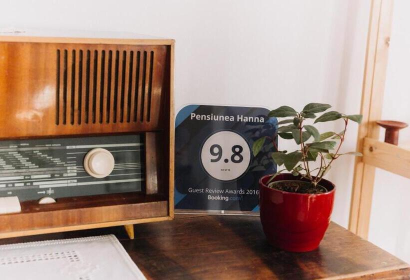 ホテル Pensiune Agroturistica Hanna