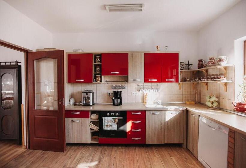 ホテル Pensiune Agroturistica Hanna