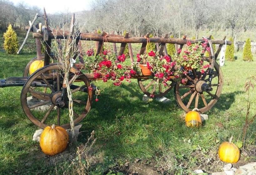 Hotel Pensiunea Agroturistica Cheile Cibului