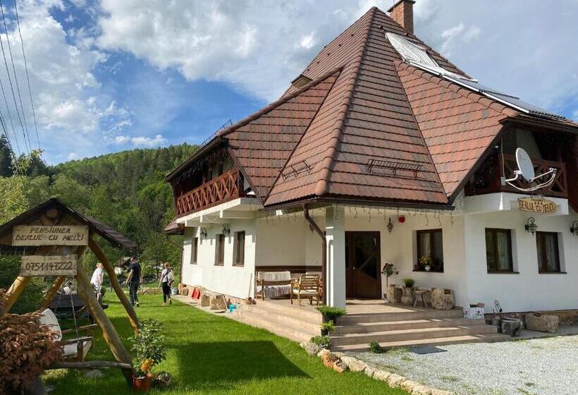 فندق Pensiunea Dealul Cu Melci