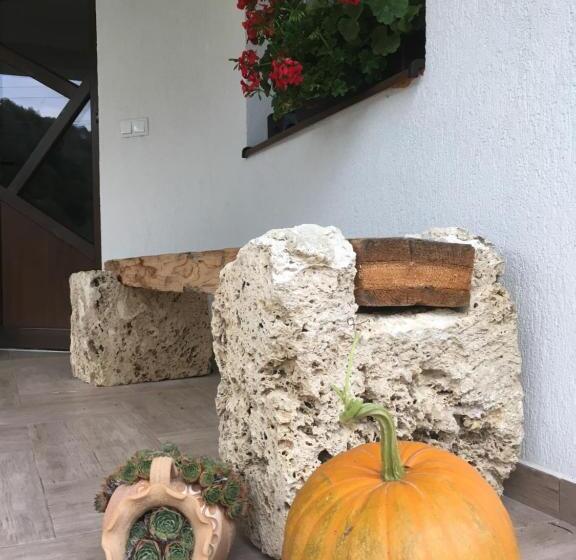 فندق Pensiunea Dealul Cu Melci