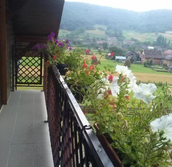 호텔 Pensiunea Dorel Codoban