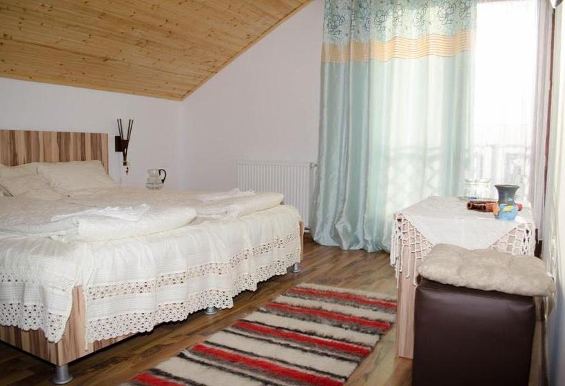 호텔 Pensiunea Dorel Codoban