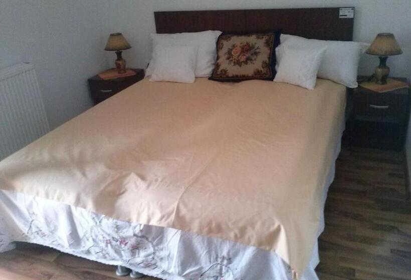 호텔 Pensiunea Dorel Codoban