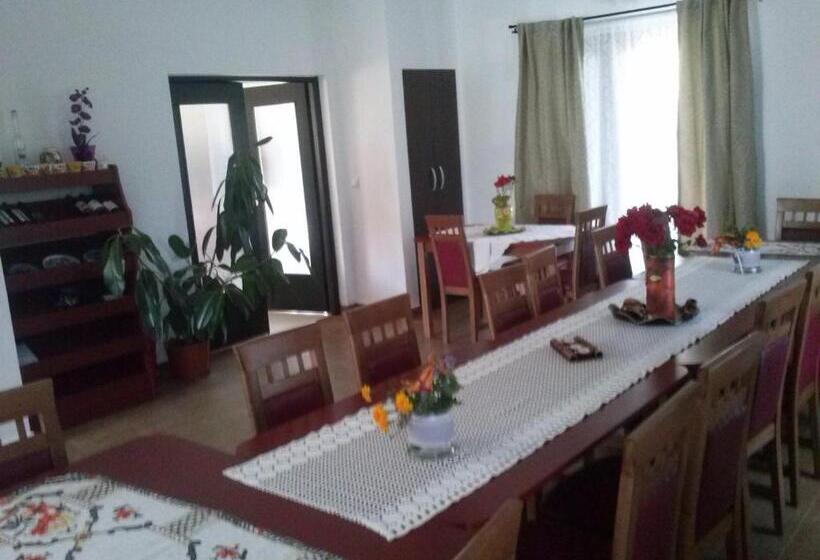 호텔 Pensiunea Dorel Codoban