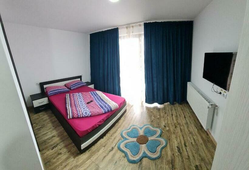 Отель Pensiunea Maria