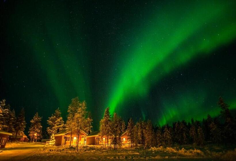 בית מלון כפרי Pinetree Lodge