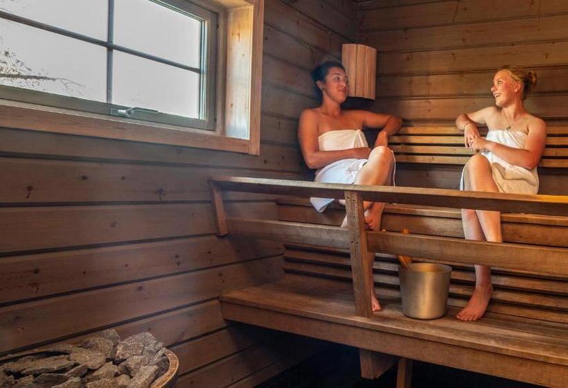 בית מלון כפרי Pinetree Lodge