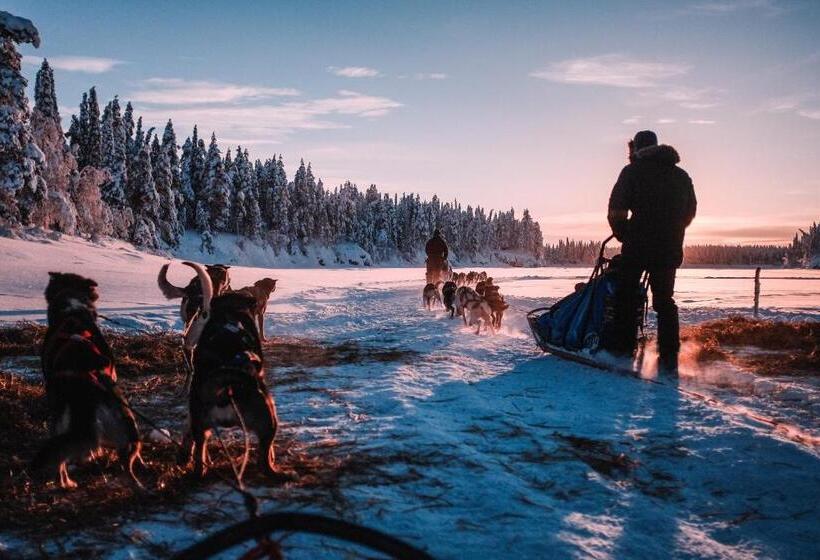 בית מלון כפרי Pinetree Lodge