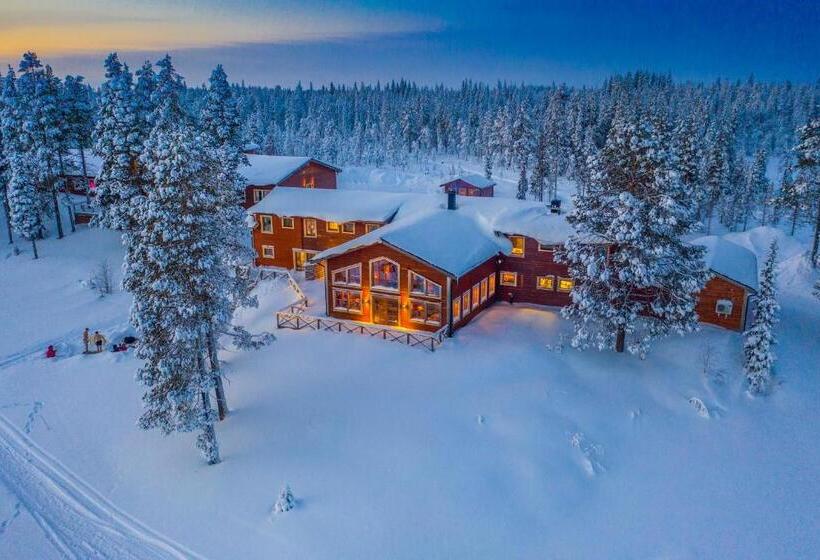 בית מלון כפרי Pinetree Lodge