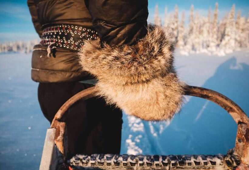 בית מלון כפרי Pinetree Lodge