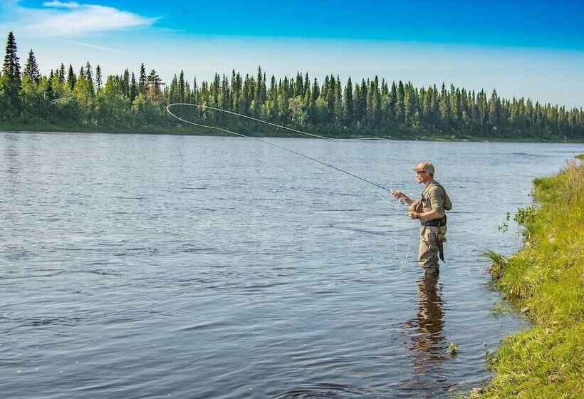 בית מלון כפרי Pinetree Lodge