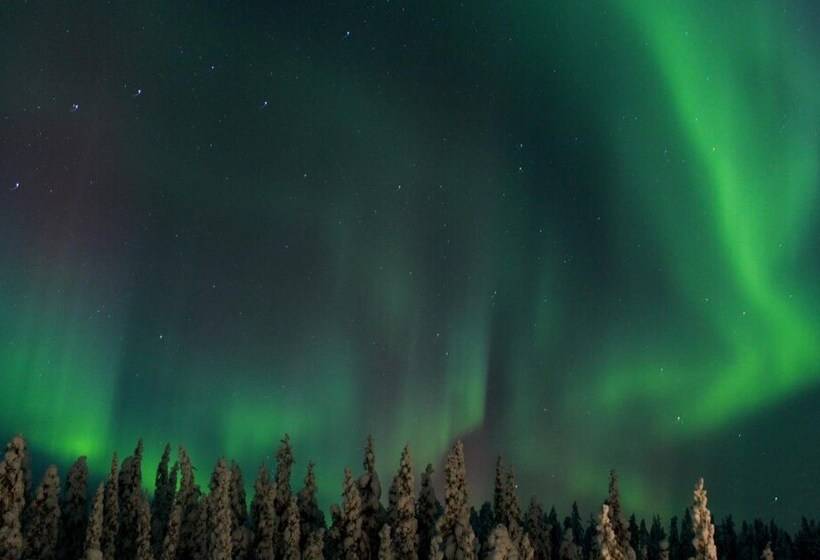 בית מלון כפרי Pinetree Lodge