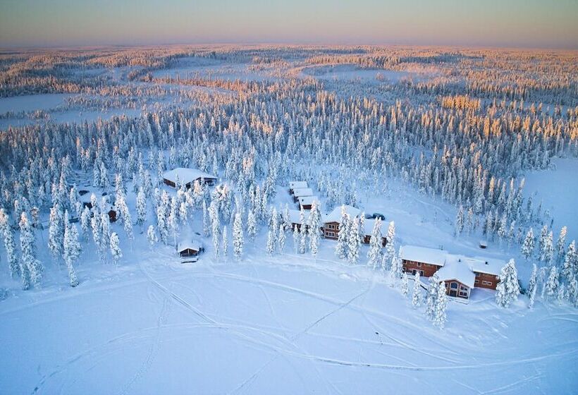 בית מלון כפרי Pinetree Lodge