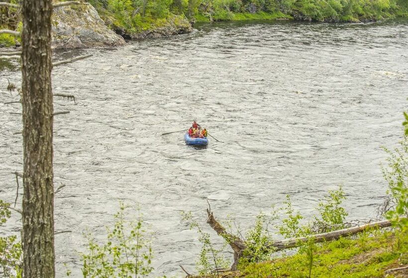 בית מלון כפרי Pinetree Lodge
