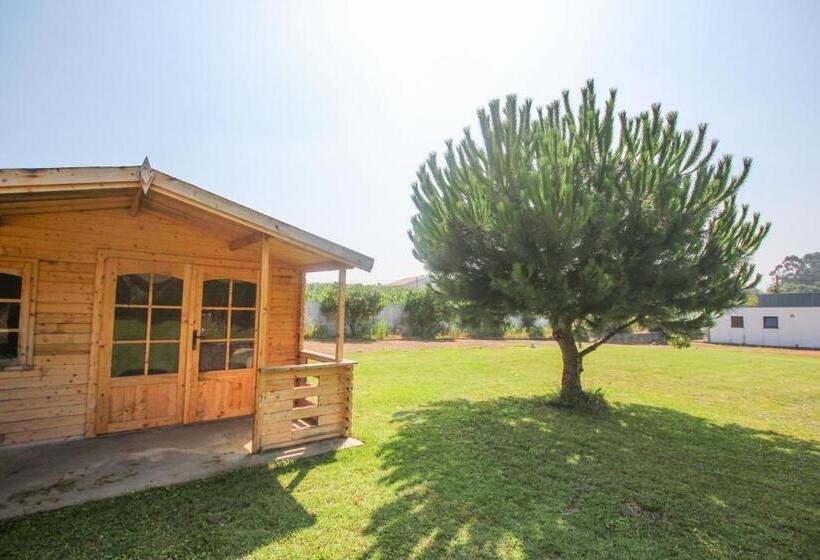 فندق Quinta Da Aldeia De Avanca