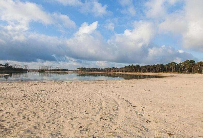 ホテル Restaurant Nederheide