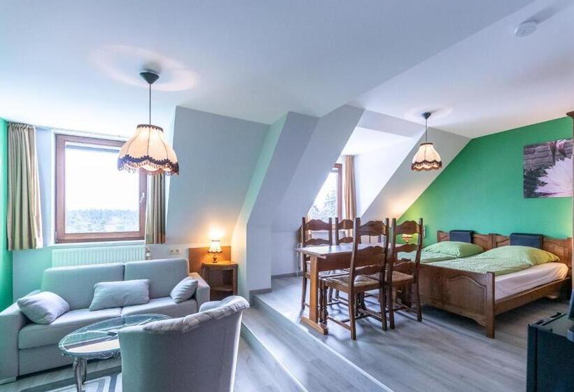 בית מלון כפרי Schröder