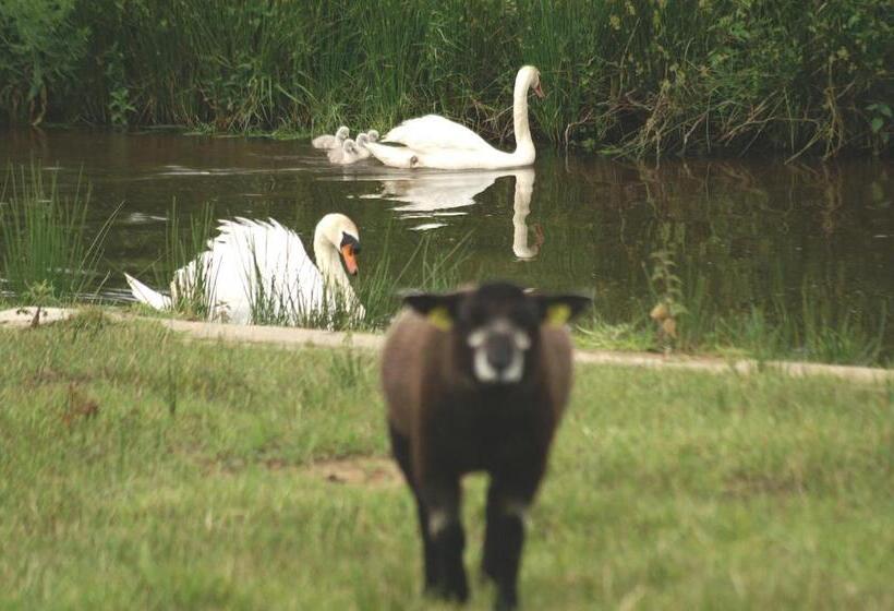 בית מלון כפרי Vakantie Meerlo