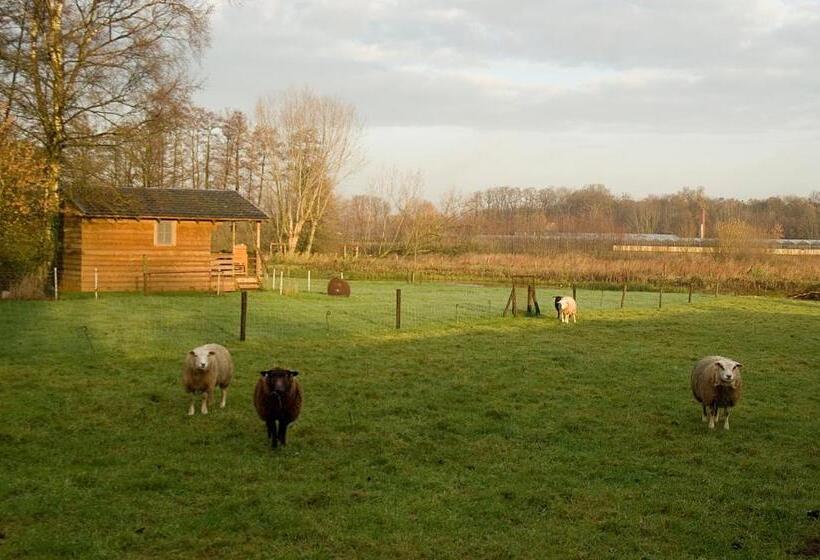 בית מלון כפרי Vakantie Meerlo