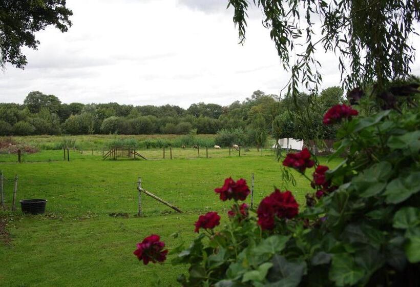 בית מלון כפרי Vakantie Meerlo