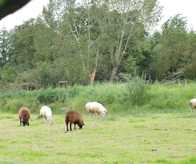 בית מלון כפרי Vakantie Meerlo