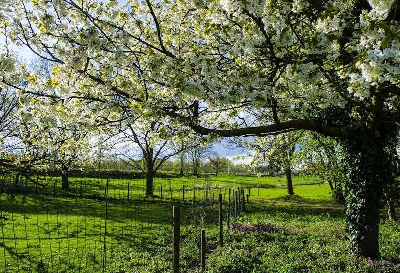 בית מלון כפרי Vakantie Meerlo