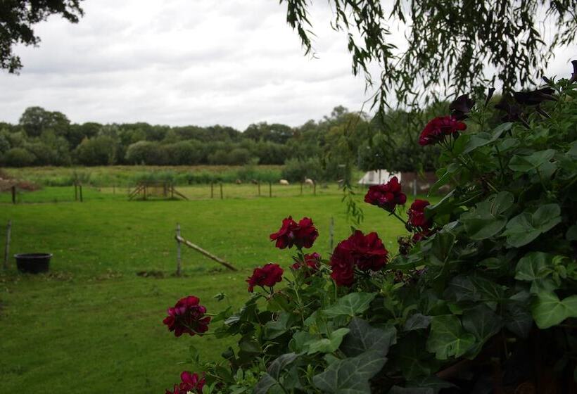 בית מלון כפרי Vakantie Meerlo