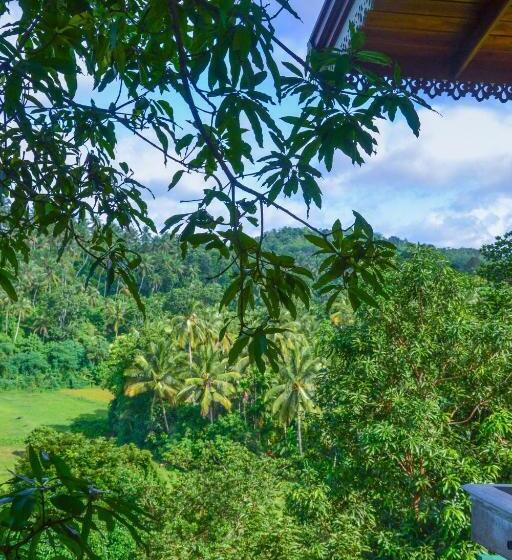 בית מלון כפרי Villa 61