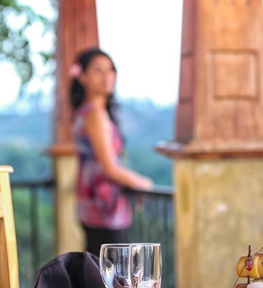 בית מלון כפרי Villa 61