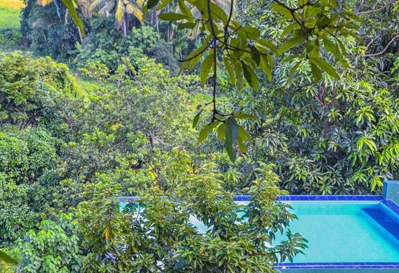 בית מלון כפרי Villa 61