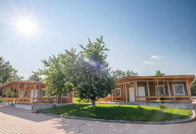 בית מלון כפרי Villa Trakia