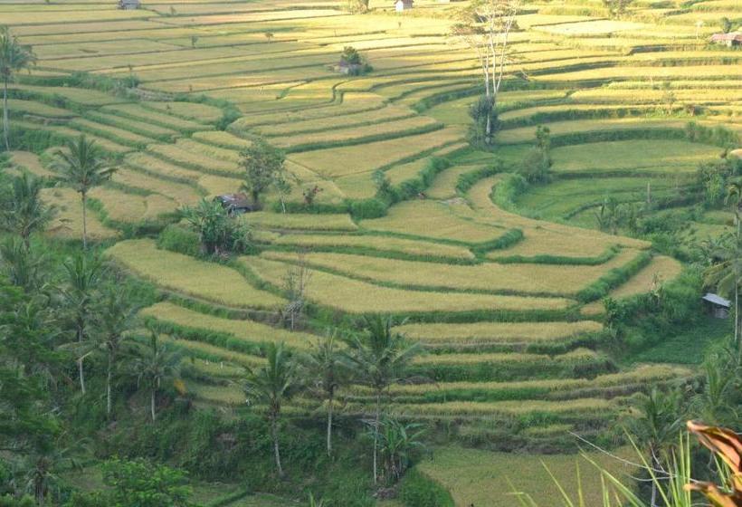 Mahagiri Resort & Restaurant