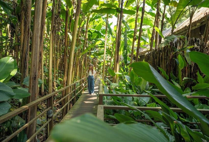 Namkat Yorla Pa Resort