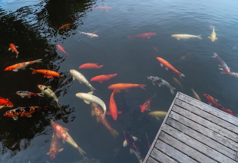 Namkat Yorla Pa Resort