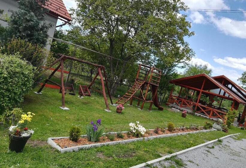 Nárcisz B&b
