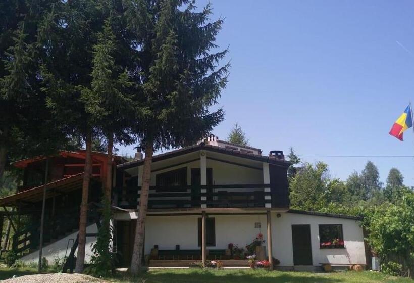 بنسيون Alpinlife