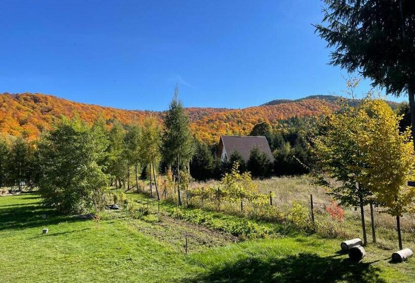 بنسيون Alpinlife